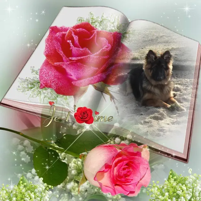 Condolence image of Dzień Dobry mój Ukochany❤️❤️❤️Misieńku❤️❤️❤️