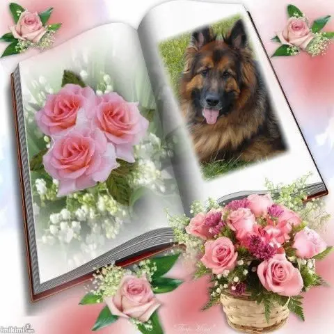 Condolence image of Mój Misiulek❤❤❤