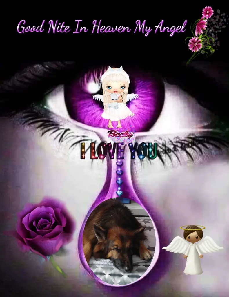 Condolence image of Dobrej Nocki Ukochany Misieńku❤️❤️❤️