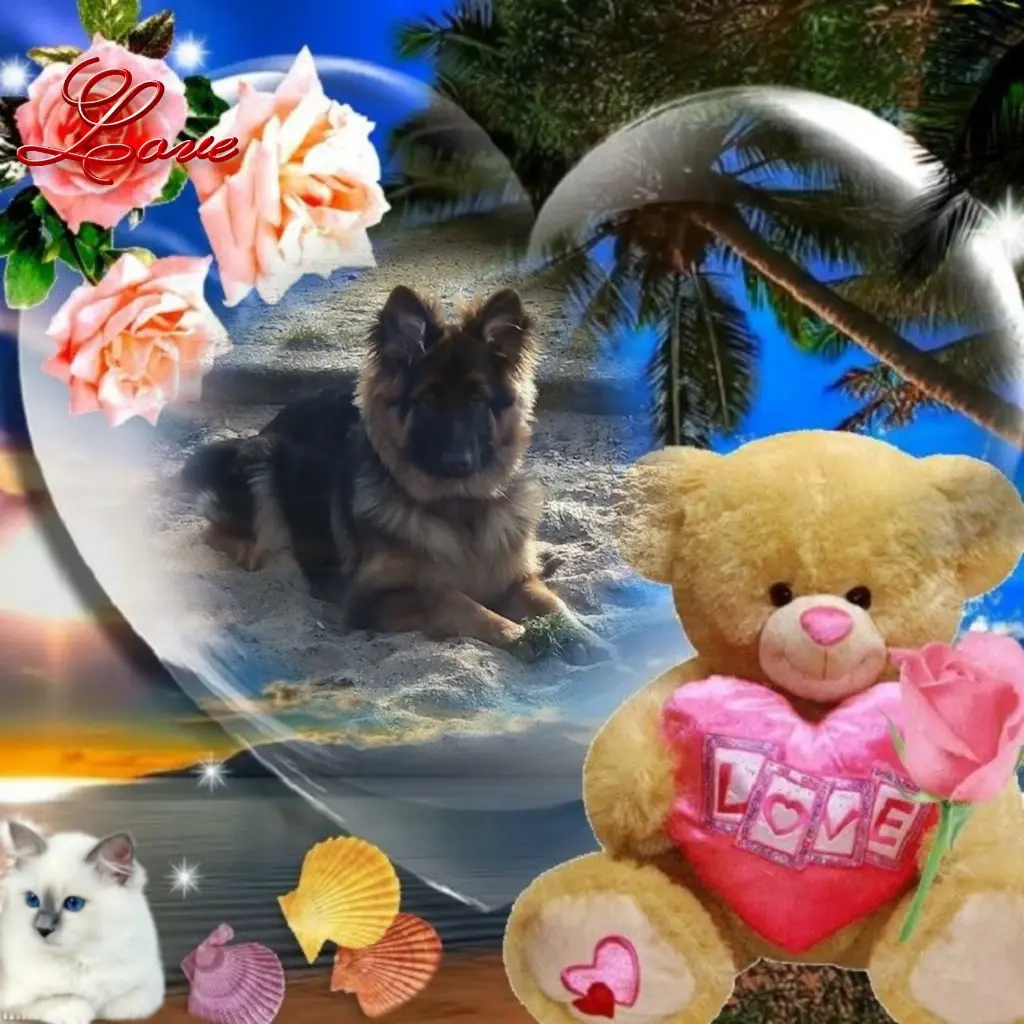 Condolence image of Dzień Dobry mój Ukochany❤️❤️❤️Misieńku❤️❤️❤️