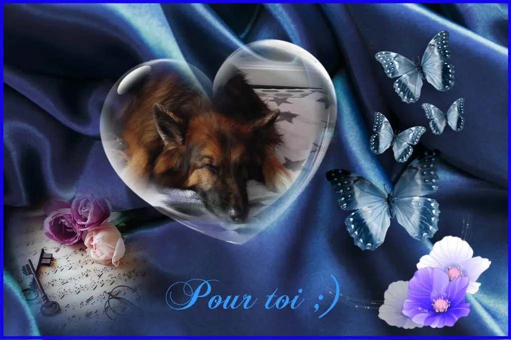 Condolence image of Dobrej Nocki Ukochany Misieńku❤️❤️❤️