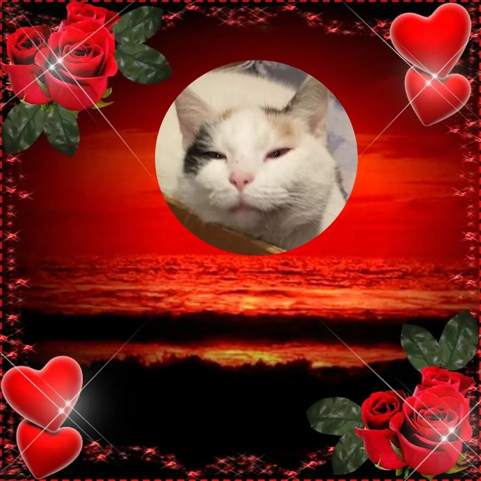 Condolence image of ❤️FLECKCHEN❤️