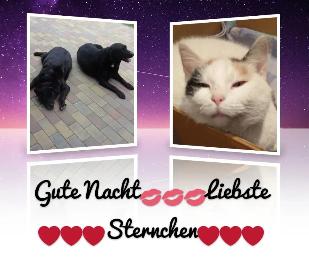 Condolence image of Gute Nacht Liebste❤️❤️❤️Fleckchen❤️