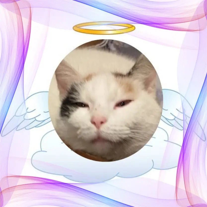 Condolence image of Gute Nacht❤️❤️❤️Liebste❤️❤️❤️Fleckchen❤️