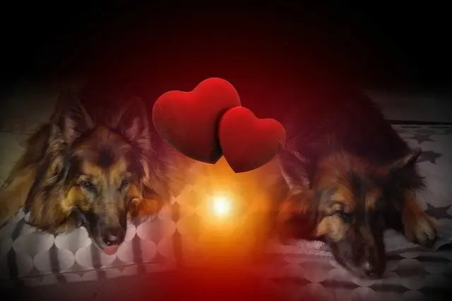 Condolence image of Dobrej Nocki Ukochany Misieńku❤️❤️❤️