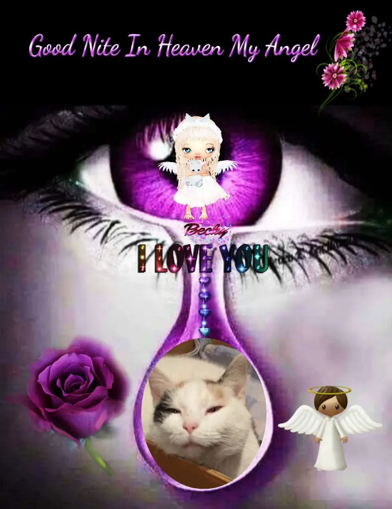 Condolence image of Gute Nacht Liebste❤️❤️❤️Fleckchen❤️