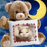 Condolence image of Gute Nacht❤️Liebste❤️❤️❤️Fleckchen❤️