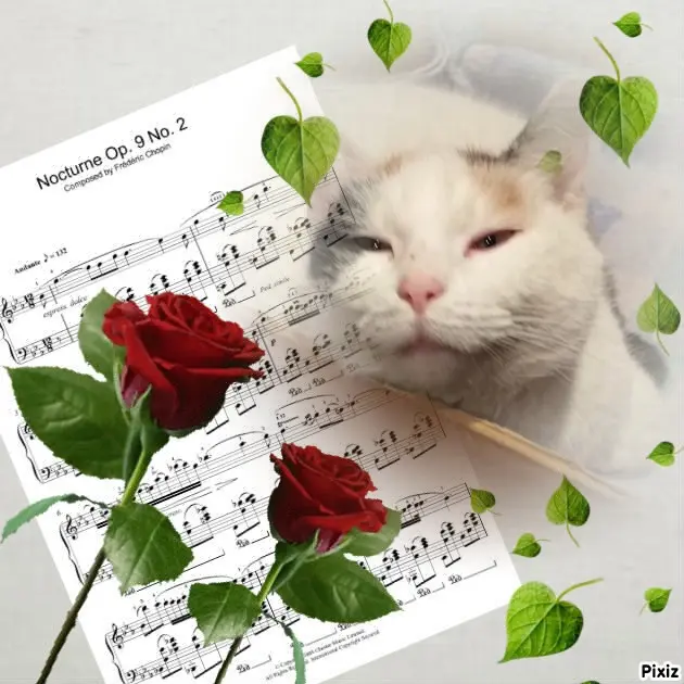 Condolence image of Gute Nacht❤️Liebste❤️❤️❤️Fleckchen❤️
