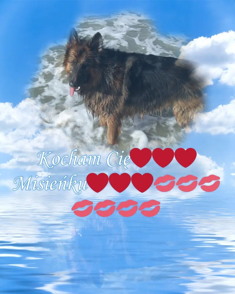 Condolence image of Dzień Dobry mój Ukochany❤️❤️❤️Misieńku❤️❤️❤️