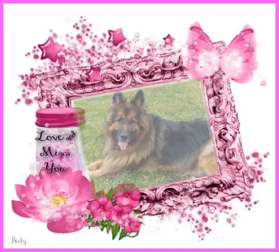 Condolence image of Mój Misiulek❤❤❤
