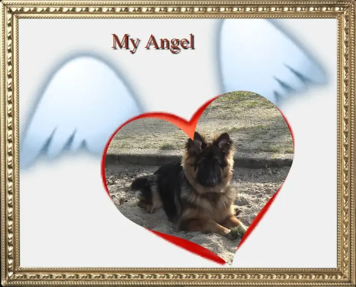 Condolence image of Mój Misiulek❤❤❤