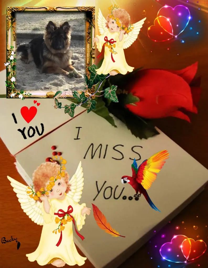 Condolence image of Dzień Dobry mój Ukochany❤️❤️❤️Misieńku❤️❤️❤️