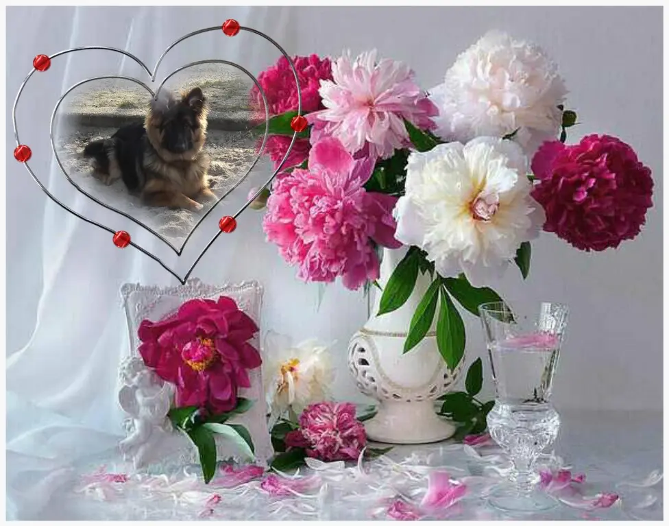 Condolence image of Mój Misiulek❤❤❤