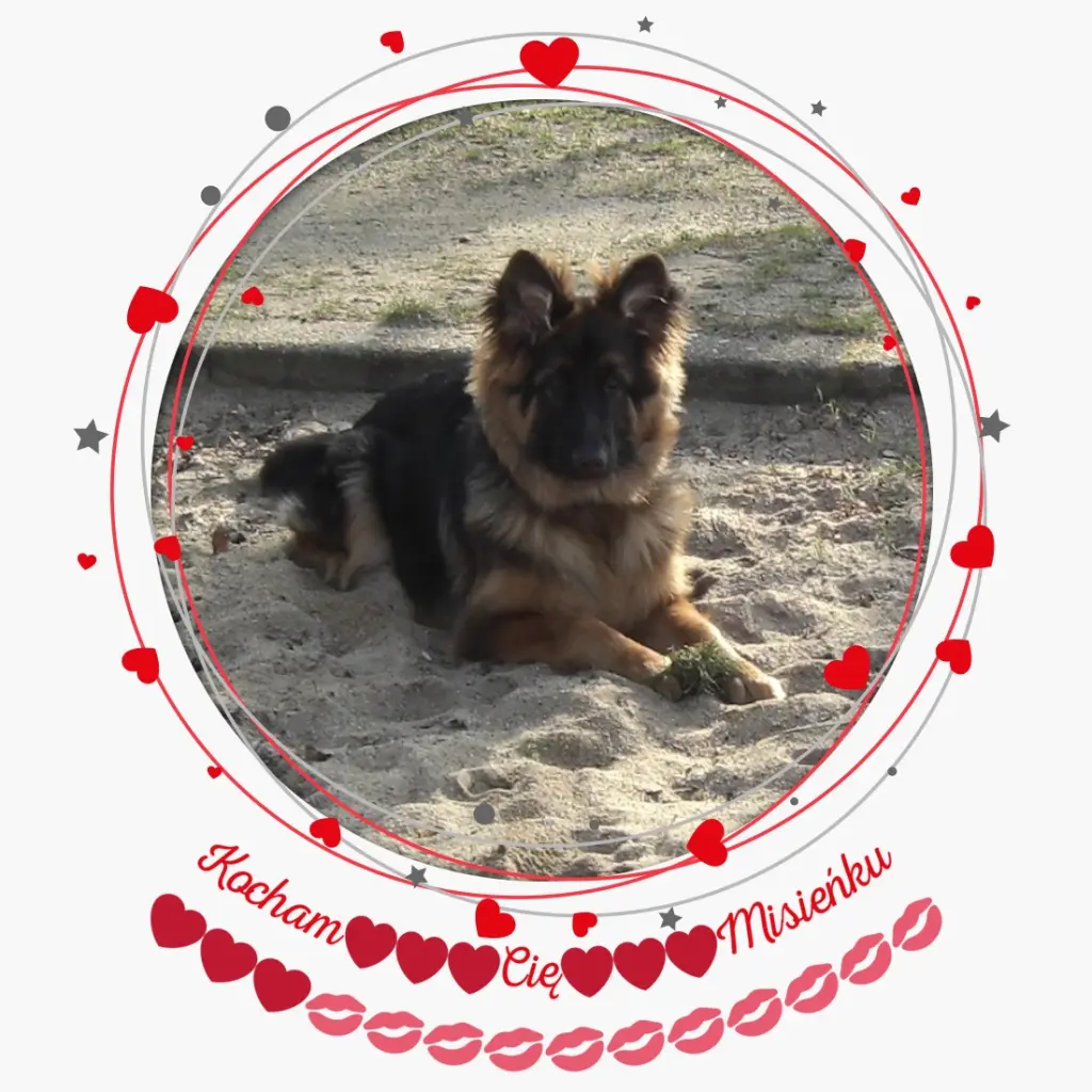 Condolence image of Mój Misiulek❤❤❤