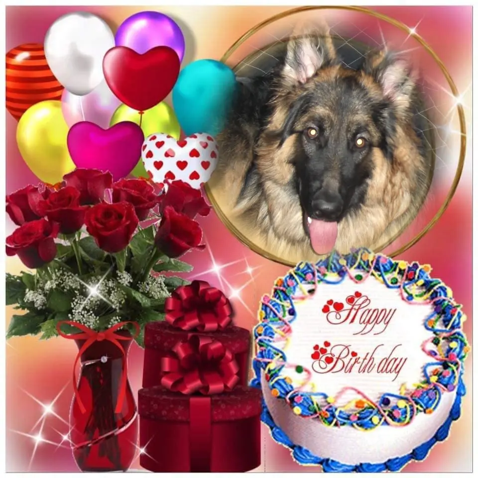 Condolence image of ❤️❤️❤️13. Geburtstag❤️❤️❤️Misieńku❤️❤️❤️