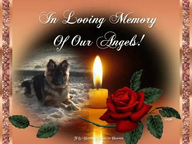 Condolence image of Dzień Dobry mój Ukochany❤️❤️❤️Misieńku❤️❤️❤️