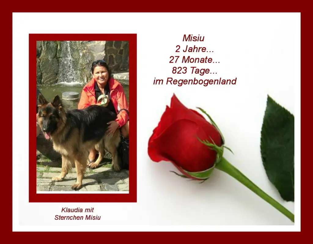 Condolence image of Sabine mit Kaspar tief im Herzen