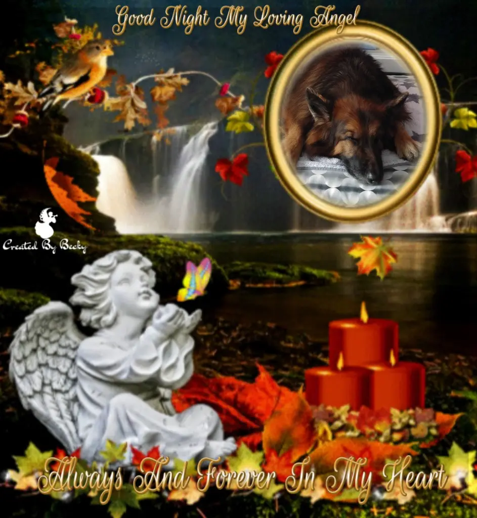 Condolence image of Dobrej Nocki Ukochany Misieńku❤️❤️❤️