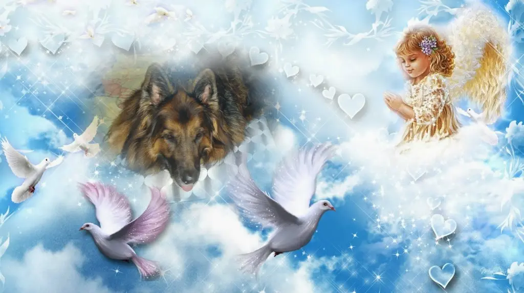 Condolence image of Dobrej Nocki Ukochany Misieńku❤️❤️❤️