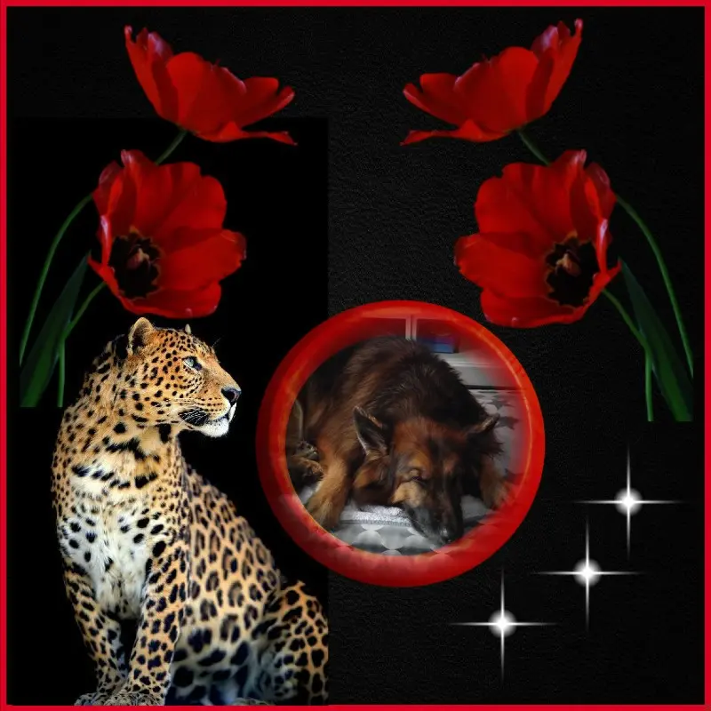 Condolence image of Dobrej Nocki Ukochany Misieńku❤️❤️❤️