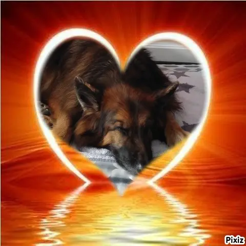 Condolence image of Dobrej Nocki Ukochany Misieńku❤️❤️❤️