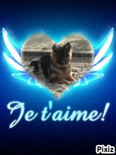 Condolence image of Dzień Dobry mój Ukochany❤️❤️❤️Misieńku❤️❤️❤️