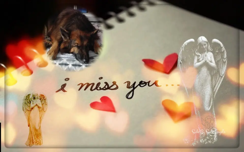 Condolence image of Dobrej Nocki Ukochany Misieńku❤️❤️❤️