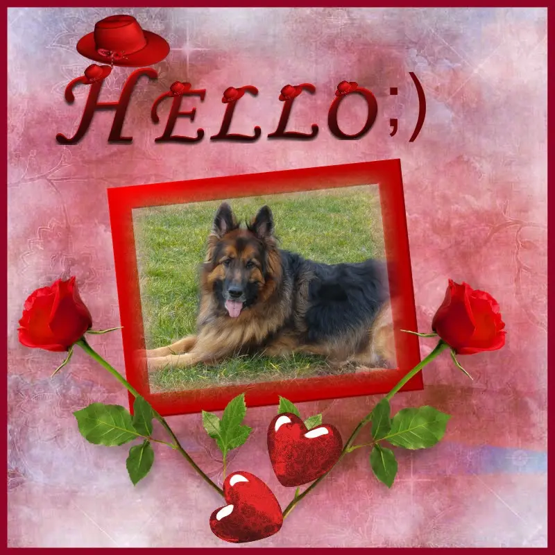 Condolence image of Dzień Dobry mój Ukochany❤️❤️❤️Misieńku❤️❤️❤️