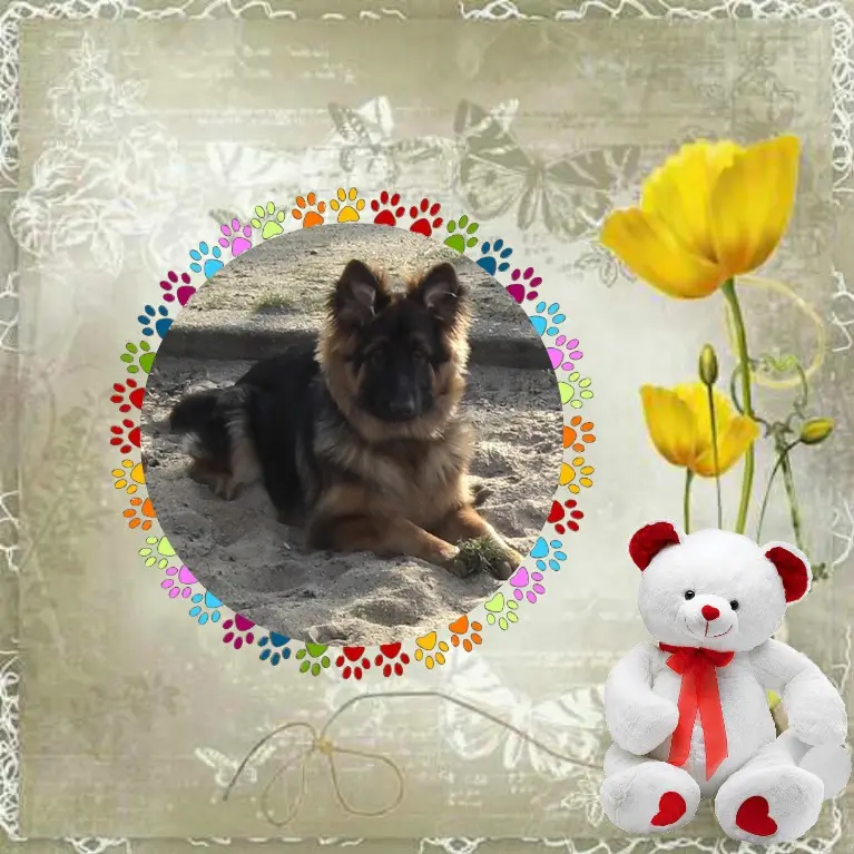 Condolence image of Dzień Dobry mój Ukochany❤️❤️❤️Misieńku❤️❤️❤️