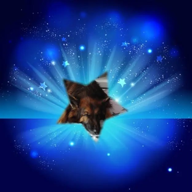 Condolence image of Dobrej Nocki Ukochany Misieńku❤️❤️❤️