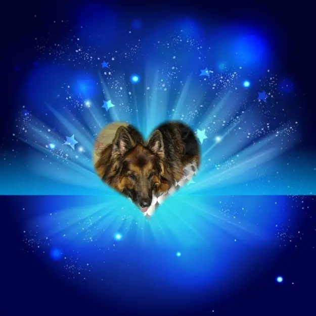 Condolence image of Dobrej Nocki Ukochany Misieńku❤️❤️❤️
