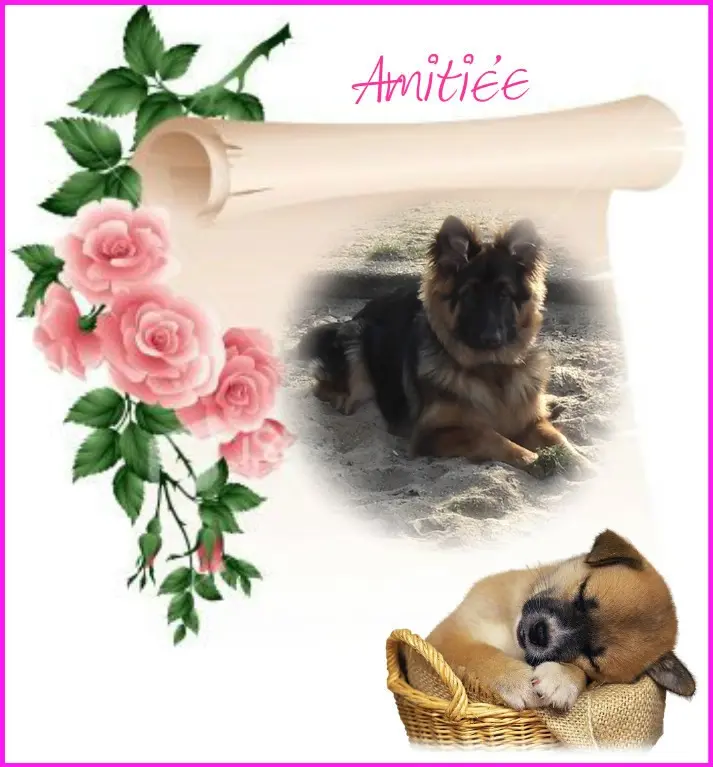 Condolence image of Dzień Dobry mój Ukochany❤️❤️❤️Misieńku❤️❤️❤️