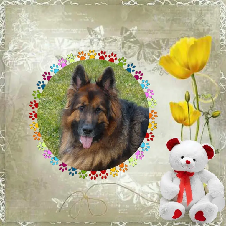 Condolence image of Dzień Dobry mój Ukochany❤️❤️❤️Misieńku❤️❤️❤️