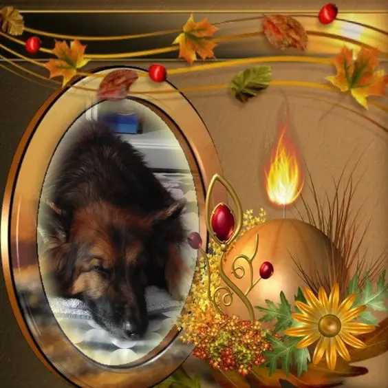 Condolence image of Dobrej Nocki Ukochany Misieńku❤️❤️❤️