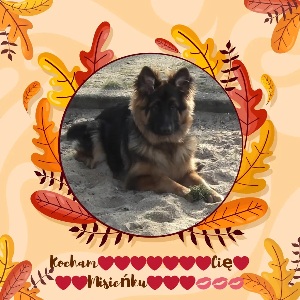 Condolence image of Dzień Dobry mój Ukochany❤️❤️❤️Misieńku❤️❤️❤️