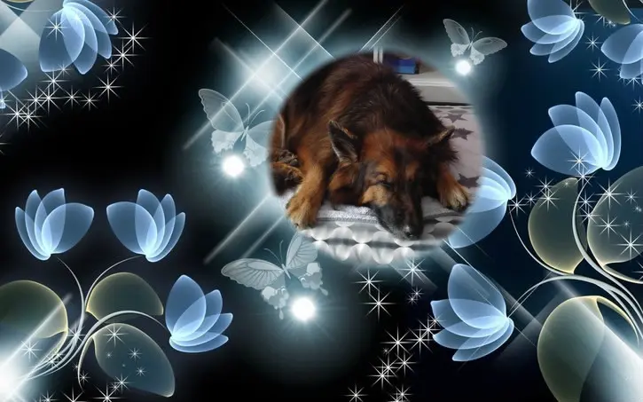 Condolence image of Dobrej Nocki Ukochany Misieńku❤️❤️❤️