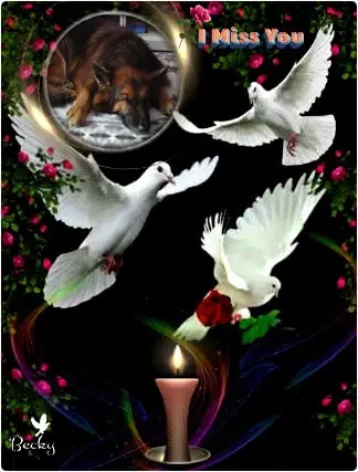 Condolence image of Dobrej Nocki Ukochany Misieńku❤️❤️❤️