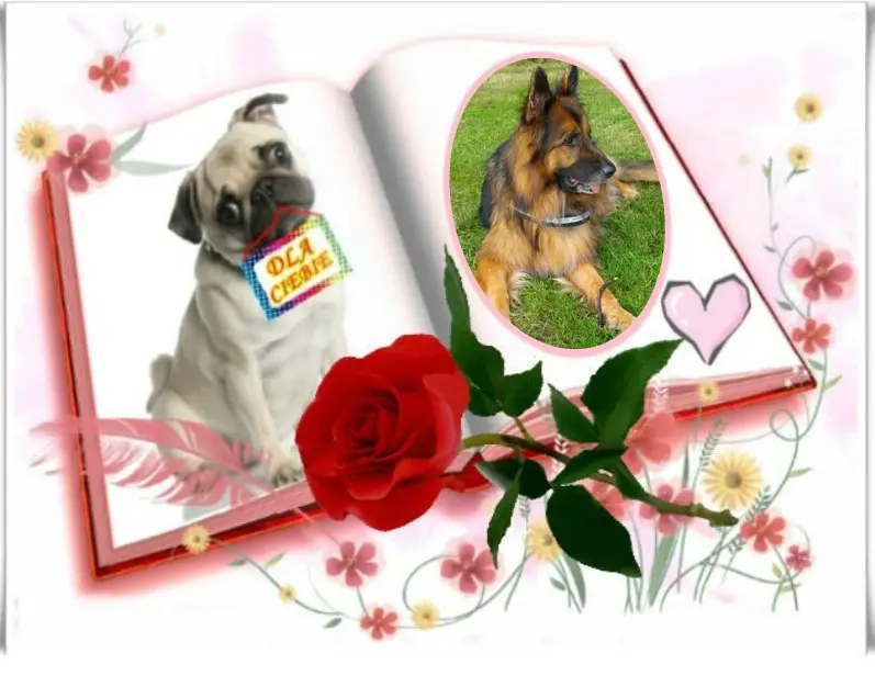 Condolence image of Dzień Dobry mój Ukochany❤️❤️❤️Misieńku❤️❤️❤️