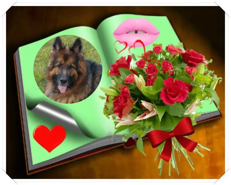Condolence image of Dzień Dobry mój Ukochany❤️❤️❤️Misieńku❤️❤️❤️