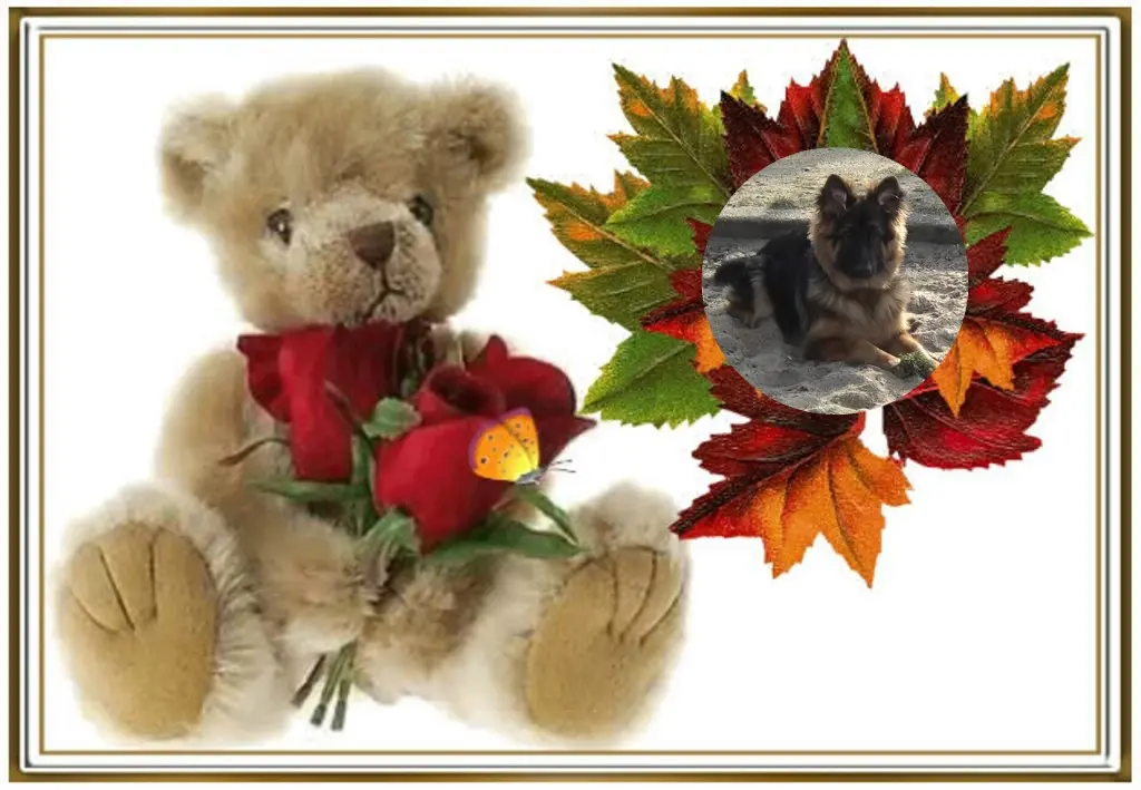Condolence image of Dzień Dobry mój Ukochany❤️❤️❤️Misieńku❤️❤️❤️