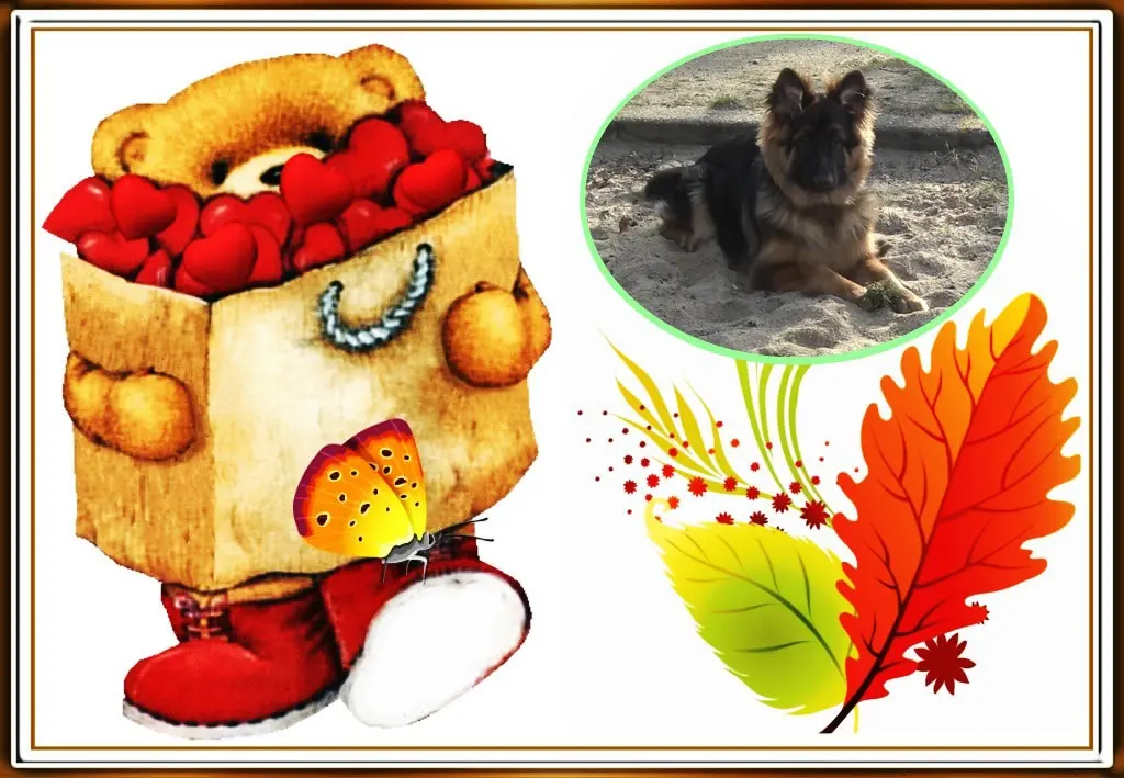 Condolence image of Dzień Dobry mój Ukochany❤️❤️❤️Misieńku❤️❤️❤️