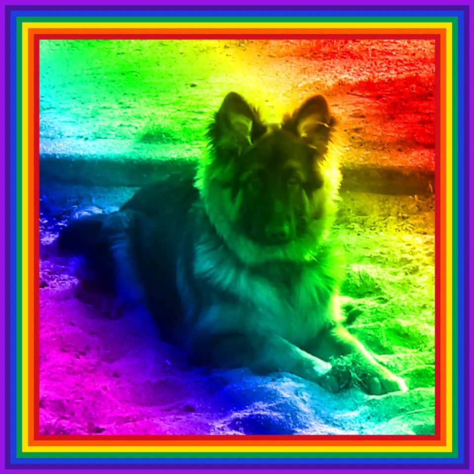 Condolence image of Mój Misiulek❤❤❤