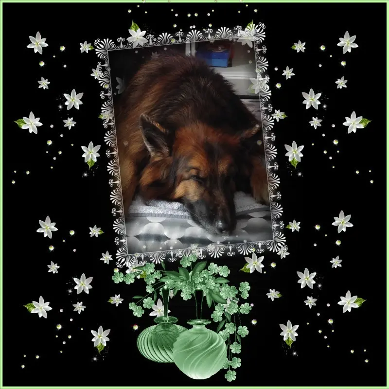 Condolence image of Dobrej Nocki Ukochany Misieńku❤️❤️❤️