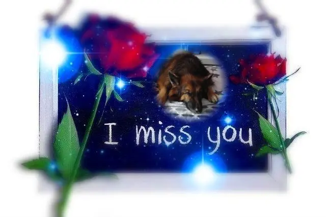 Condolence image of Dobrej Nocki Ukochany Misieńku❤️❤️❤️