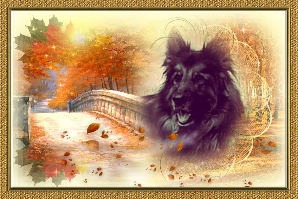 Condolence image of Dzień Dobry mój Ukochany❤️❤️❤️Misieńku❤️❤️❤️
