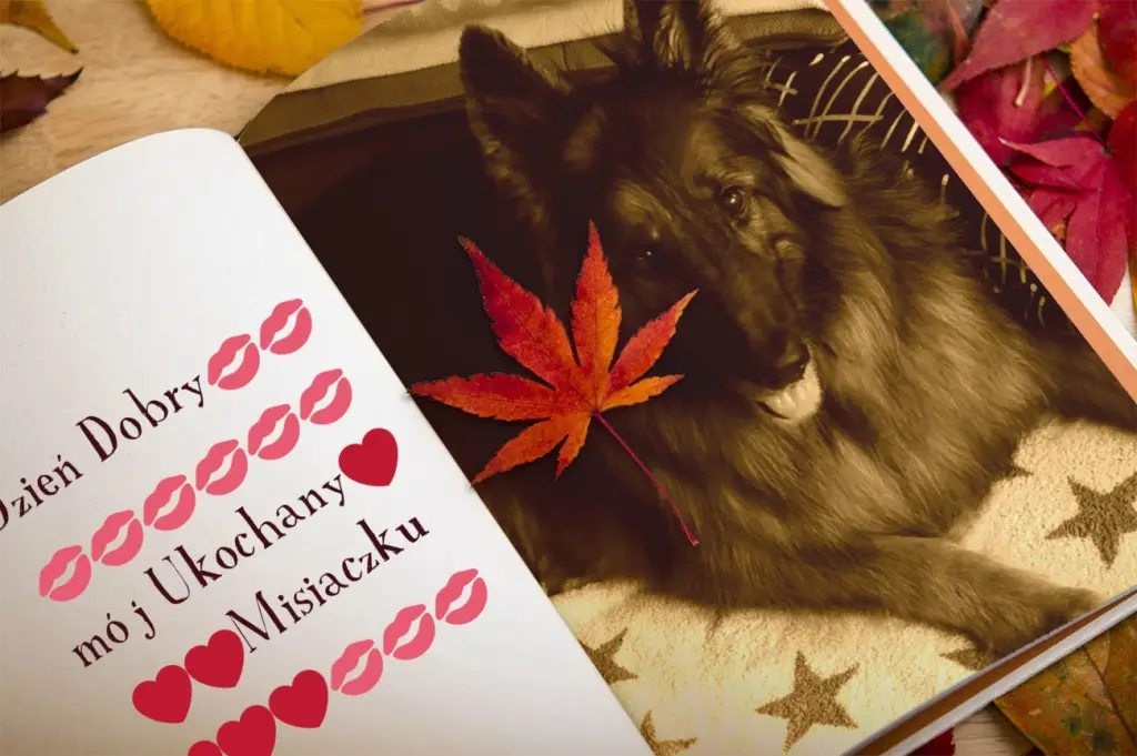 Condolence image of Dzień Dobry mój Ukochany❤️❤️❤️Misieńku❤️❤️❤️