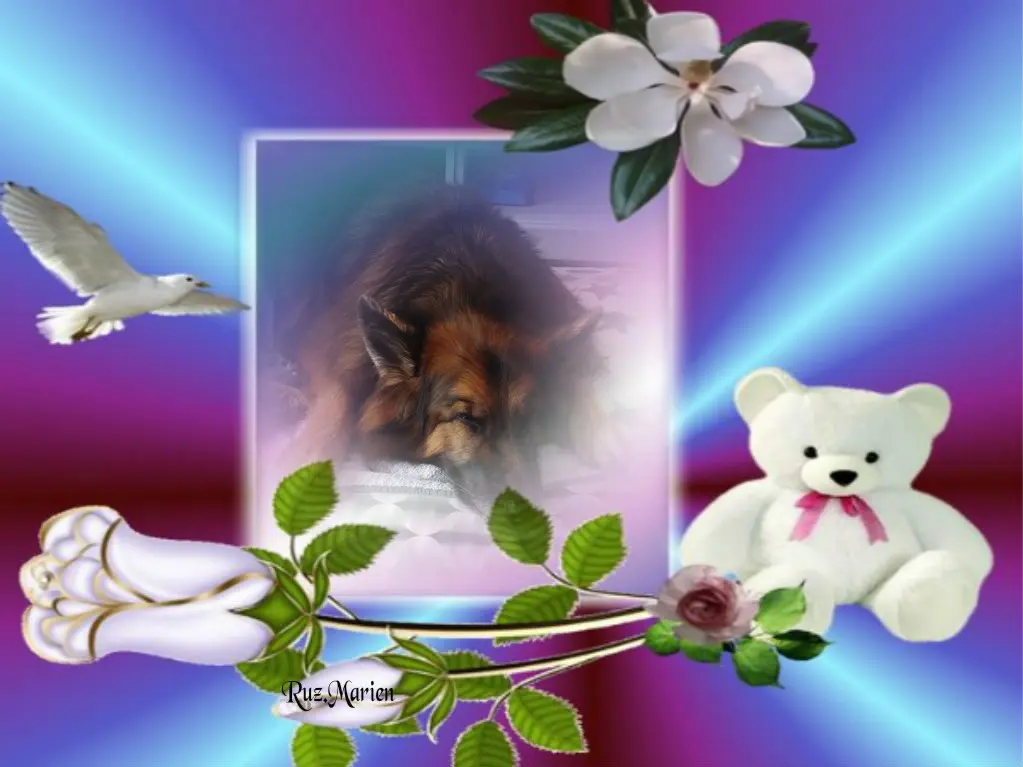 Condolence image of Dobrej Nocki Ukochany Misieńku❤️❤️❤️