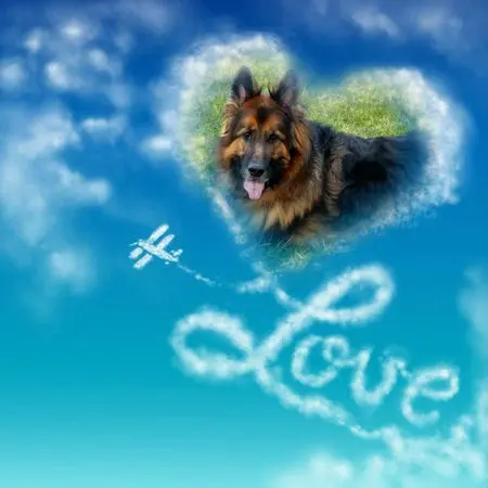 Condolence image of Kocham❤️❤️❤️❤️❤️❤️❤️❤️❤️❤️❤️❤️❤️❤️❤️❤️Cię❤️❤️❤️