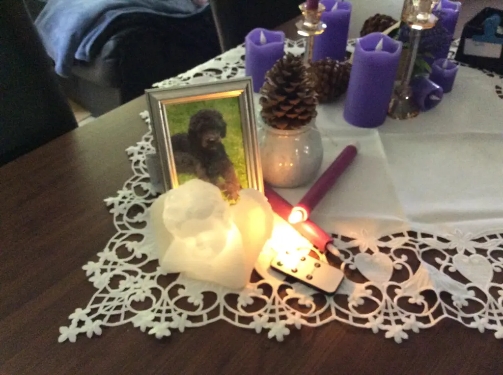 Condolence image of Heidi 