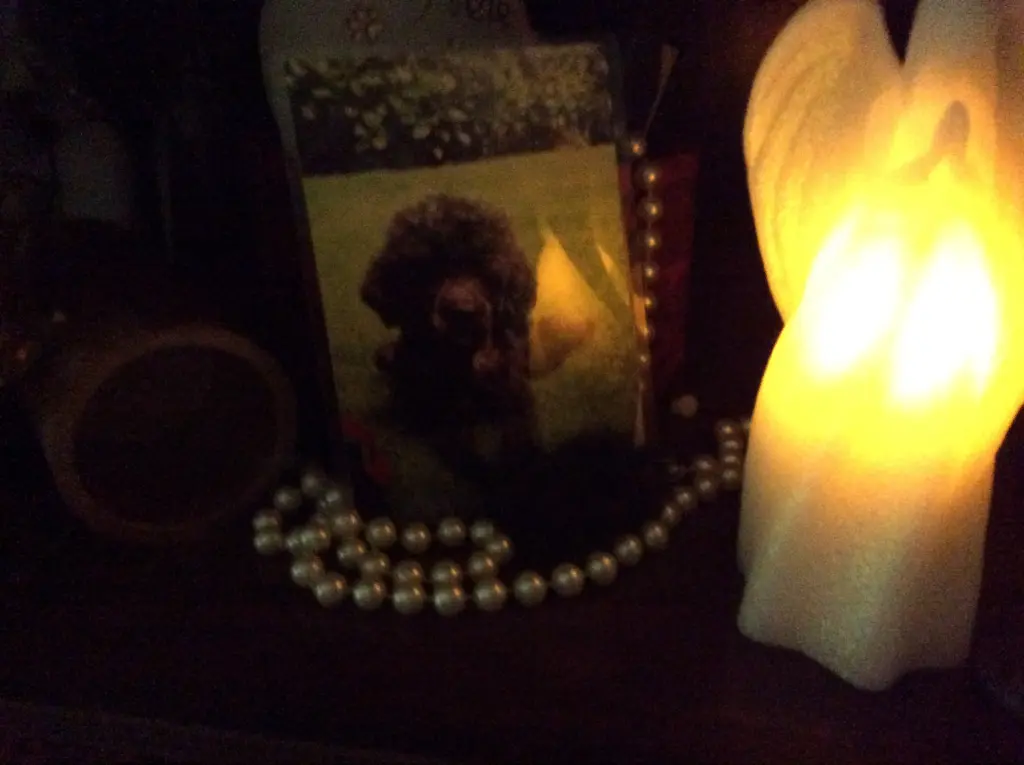 Condolence image of Heidi 